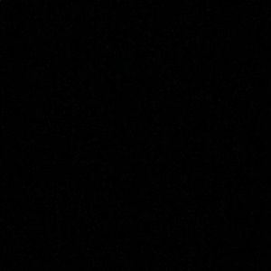 Meet your Posher, Letty